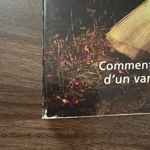 Série Vampire amoureux, tomes 1-2, livres en français, books in french - Picture 8 of 12